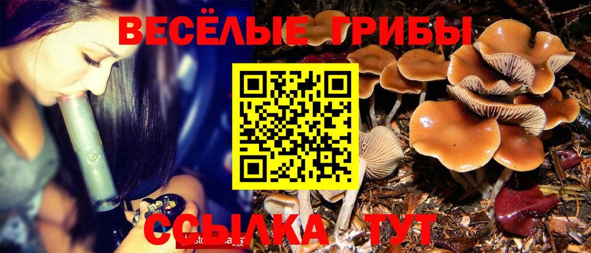 Псилоцибиновые грибы мицелий Сегежа