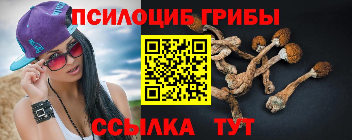 Сегежа  цена   Вход с VPN  Псилоцибиновые грибы Magic Shrooms 