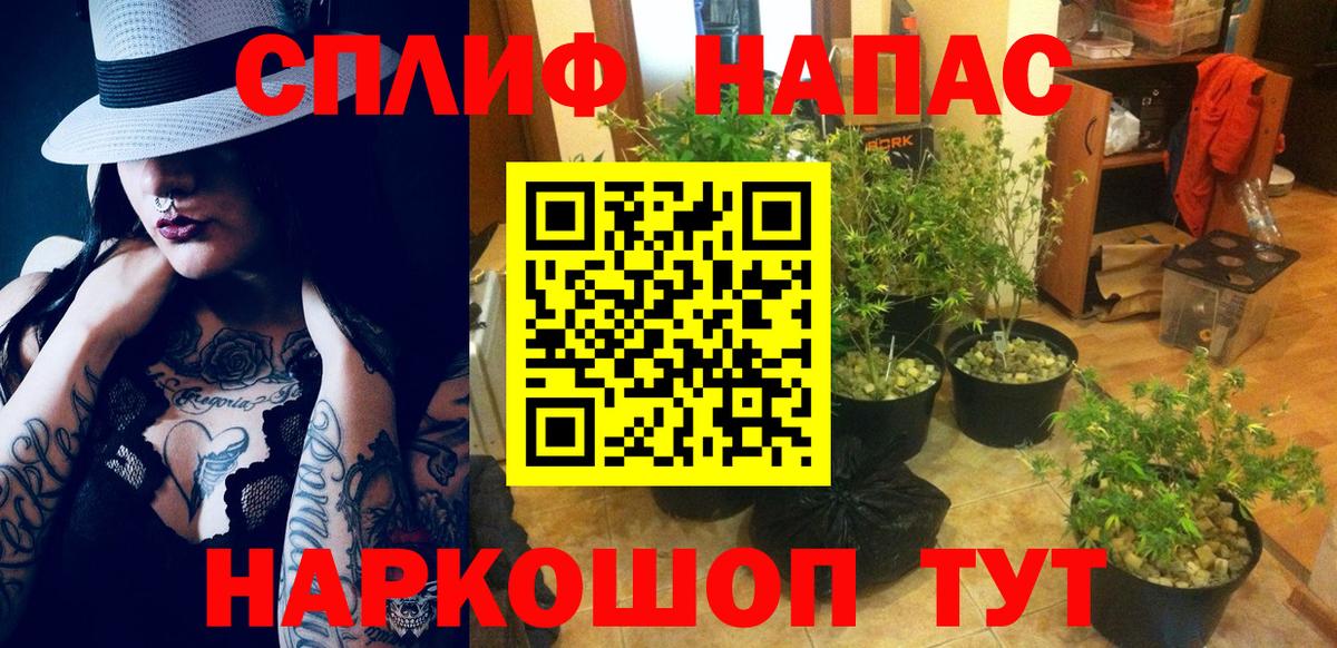 Каннабис гибрид Сегежа